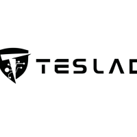 What are the custom options for Ppf Cost for implementing on the Tesla Model Y? – Teslab