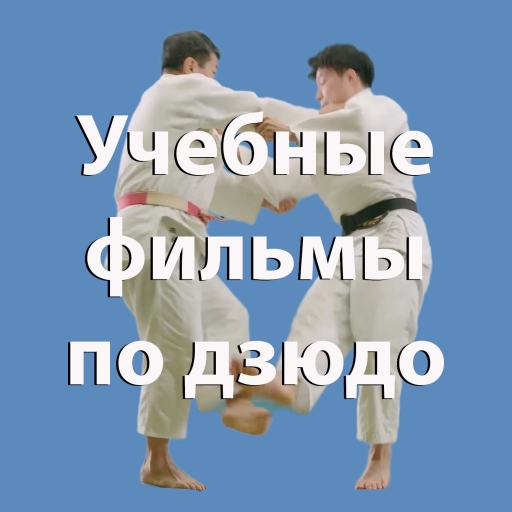 Детское игровое дзюдо .