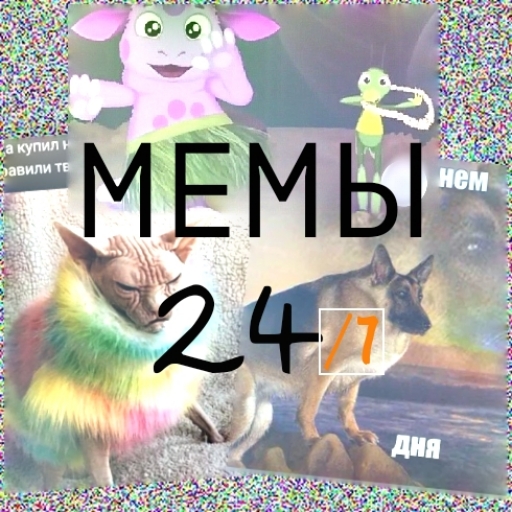 Мемы 24