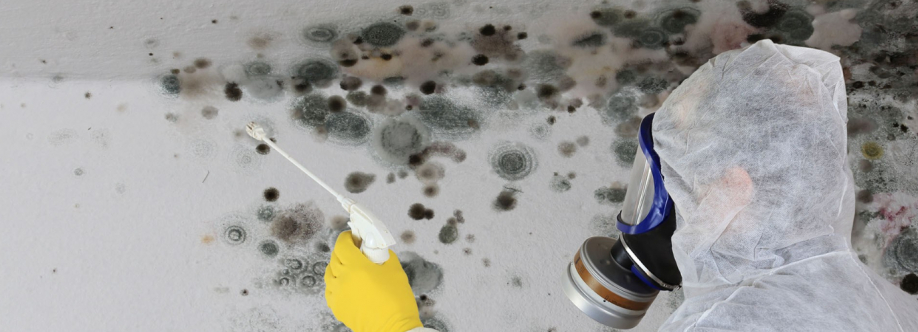 Mould Experts Gold Coast