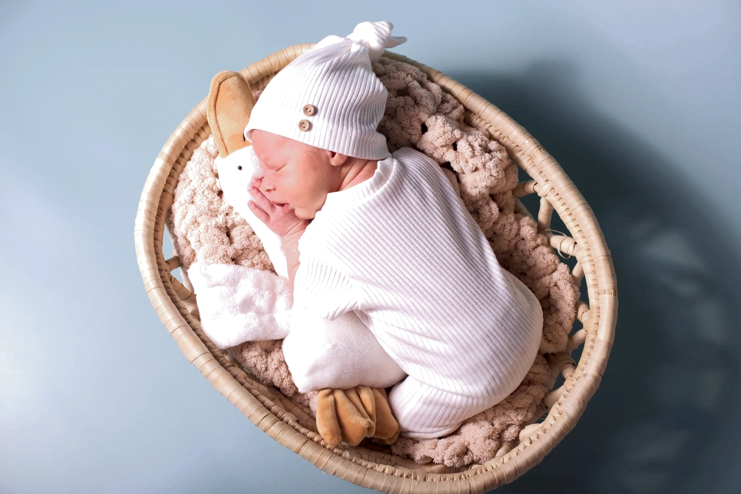 Baby With Us - Best Surrogacy Agencies, Reliable Surrogacy Agencies