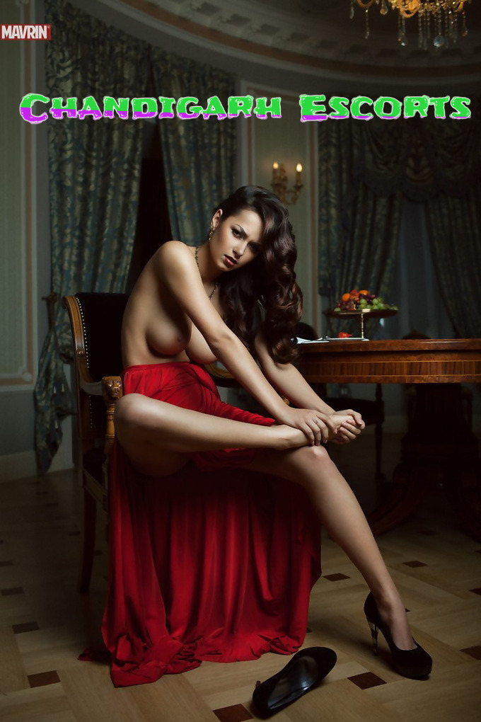 Chandigarh Escorts @Chandigarh59275 - Twitter Profile | Instalker
