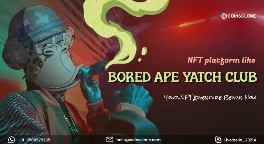 Bored Ape Yacht Club Clone Script - NFT Marketplace like BAYC
