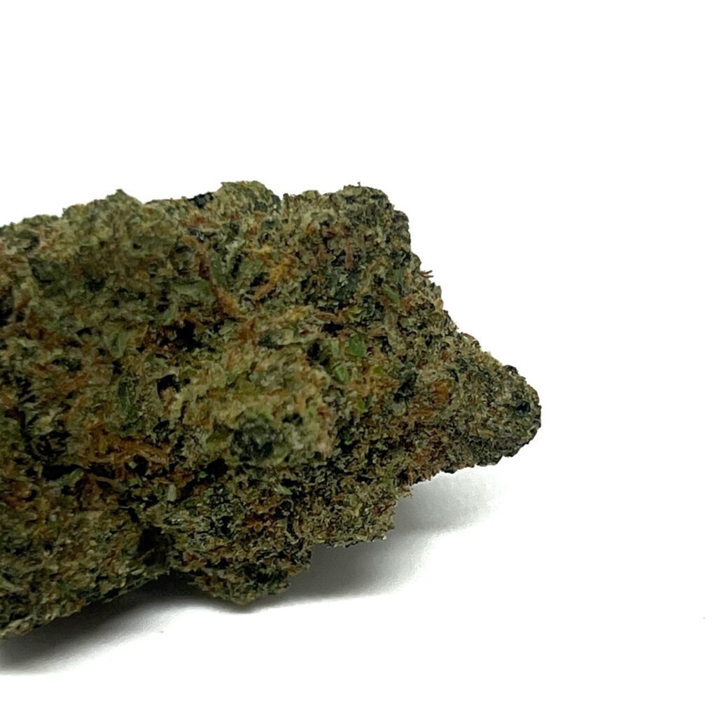 Where to get trusted Port Moody Same Day Weed Delivery service?